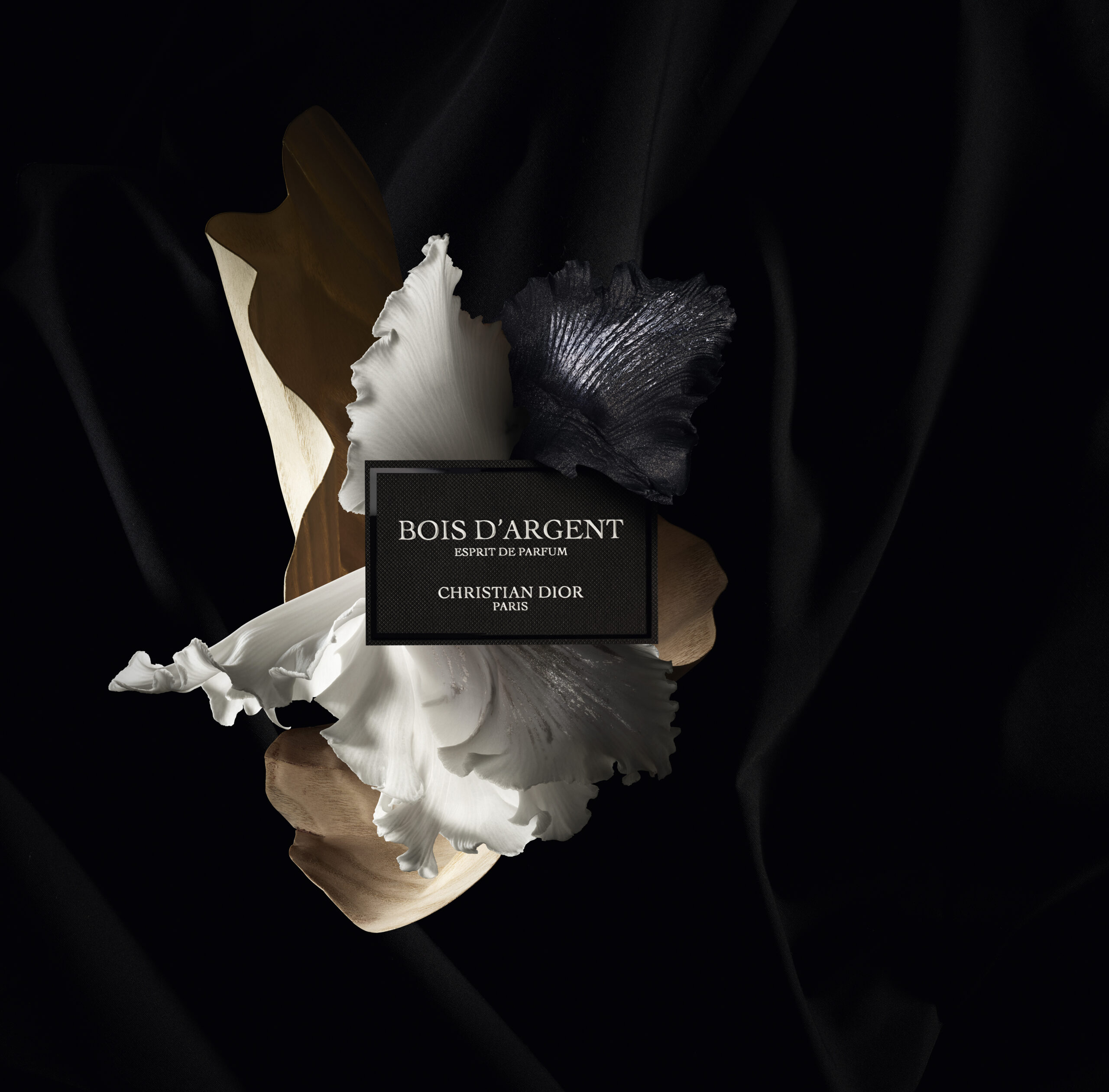 Bois d’Argent Esprit de Parfum  من ديور:عندما يتحوّل العطر إلى قطعة كوتور خالدة