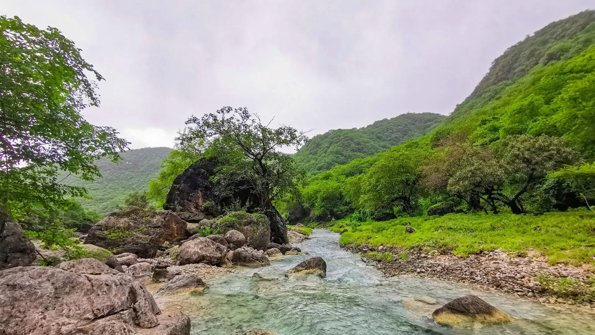 موسم خريف ظفار 2024: ملاذ مثالي للإسترخاء وسط جمال الطبيعة الخلاّب