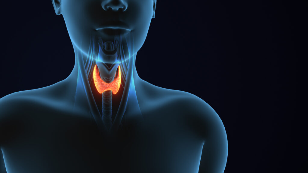 خطر الإصابة بسرطان الغدة الدرقية عند الرجال والنساء