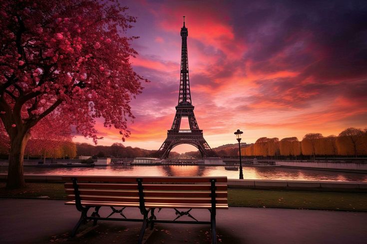 الشخصيات المنظمة: مدن حديثة وسفر مخطط بدقة لراحة تامة – مصدر الصورة: Pinterest