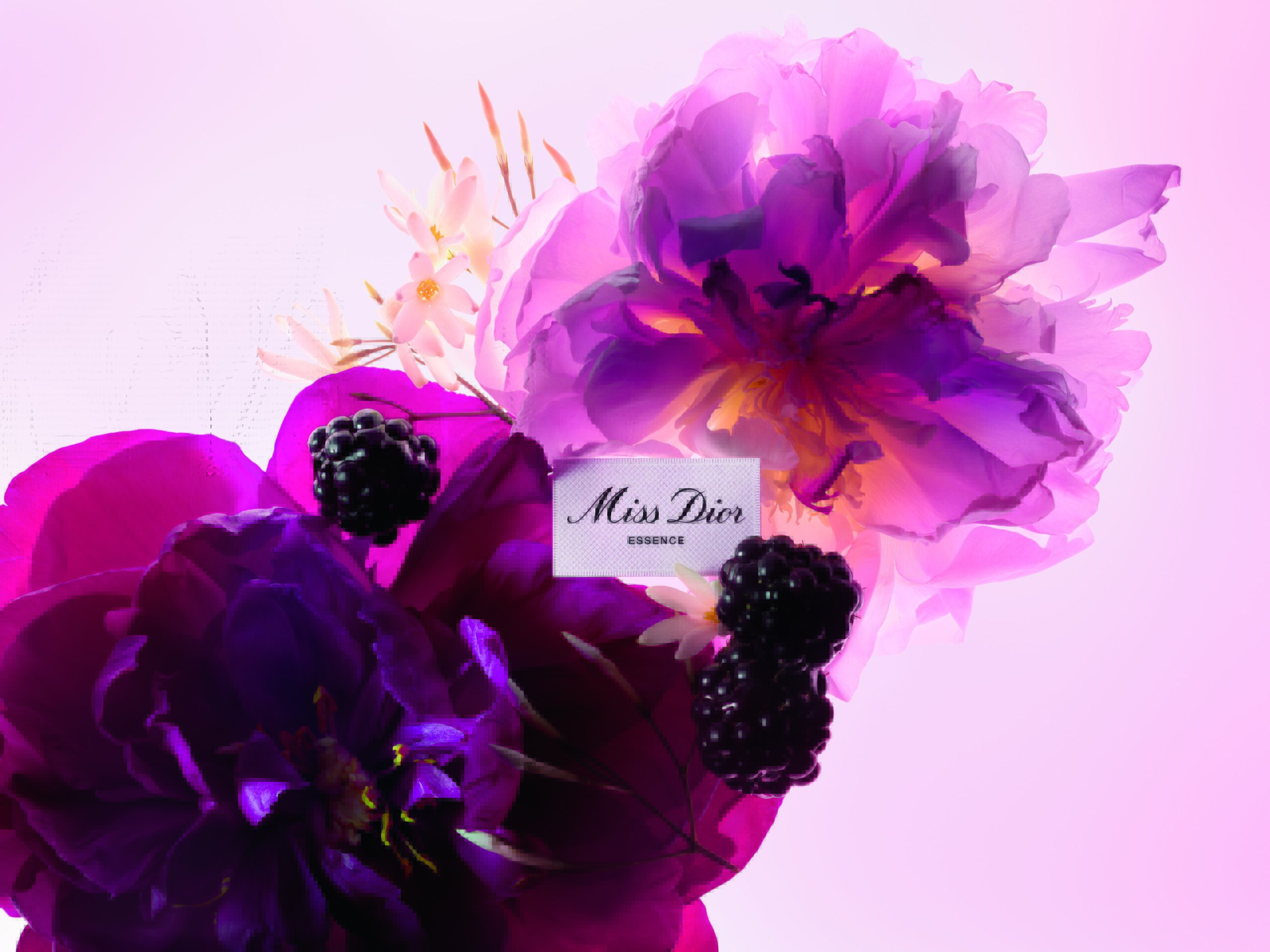  Miss Dior Essence بيان عطري بجرأة التوت الأسود ورفاهية ياسمين السامباك