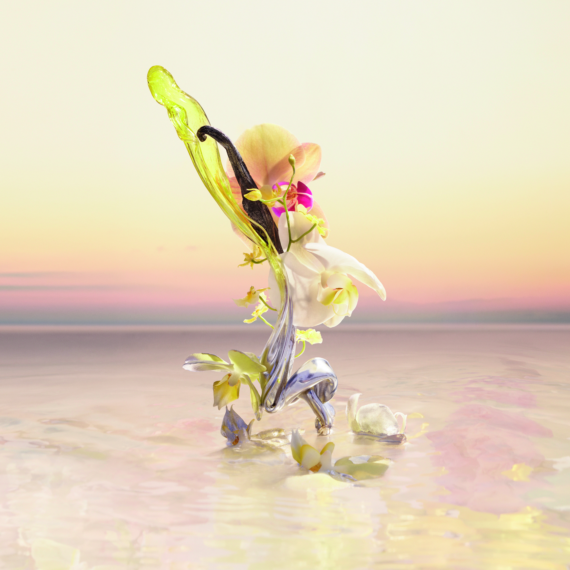 جاك كافالييه بيلترود، صانع العطر الرئيسي، يستكشف الفانيليا بتركيبة غير مسبوقة