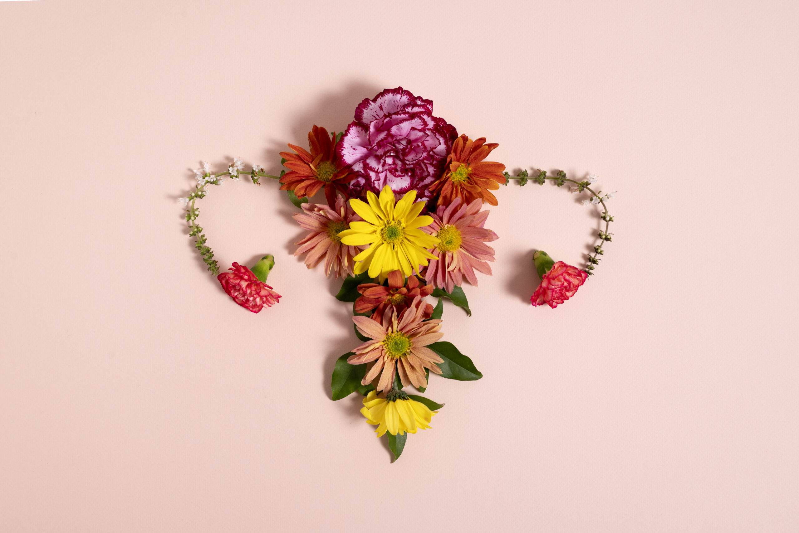 سرطان المبيض: تحدٍّ طبي صعب يتطلب حلولاً مبتكرة لمنع عودته – مصدر الصورة: Freepik